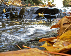 云呼死你轰炸免费网页平台
